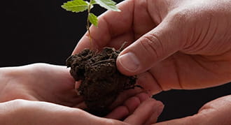 New tax law makes 2025 a strategic year for giving