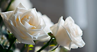 In meaningful memory: Donor advised funds as living legacies