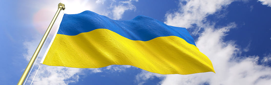 Humanitarian crisis in Ukraine