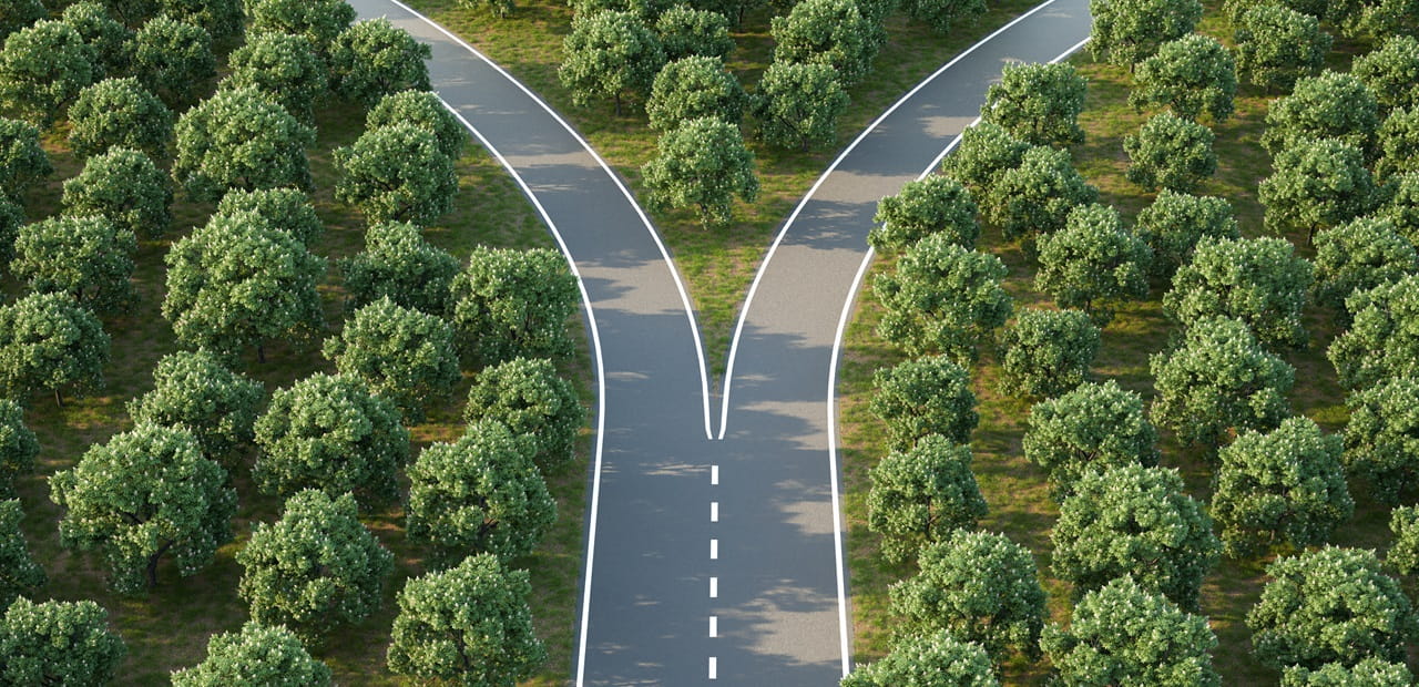 Arial image of a forking road within a forest symbolizing the choice between two giving vehicles: private foundations and donor advised funds.